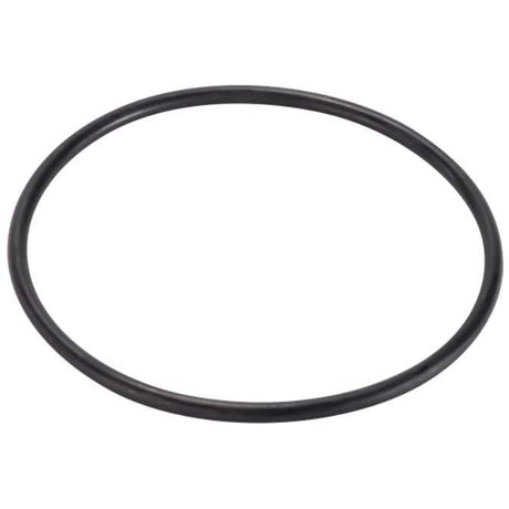 Sita 028061 Quartz Sleeve O-Ring | GAPS Water Treatment