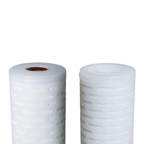 SPECTRUM PPPES Premier Pleat Polyethersulfone (PES) Filter | At GAPS