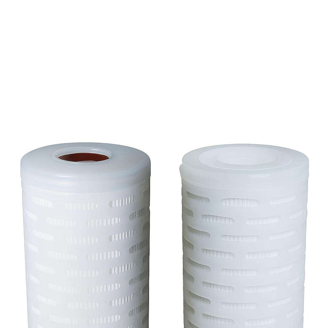 SPECTRUM PPPES Premier Pleat Polyethersulfone (PES) Filter | At GAPS