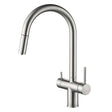 Acquapuro Roma Pull-Down Spout 3 Way Tap with two levers and stainless steel finish for filtered and mains water