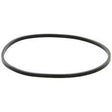 EFH-S-1-SEAL-TEFLON : SPECTRUM INOX Filter Housing 1 Round Seal Teflon - EFH