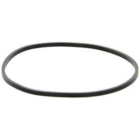 EFH-S-1-SEAL-TEFLON : SPECTRUM INOX Filter Housing 1 Round Seal Teflon - EFH